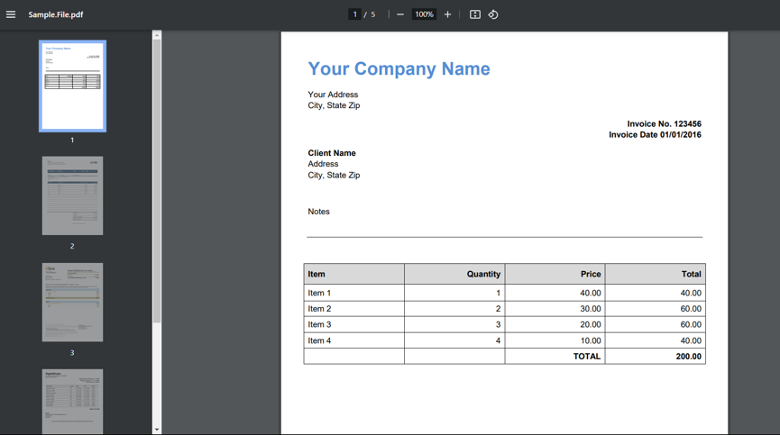 Sample PDF Invoice