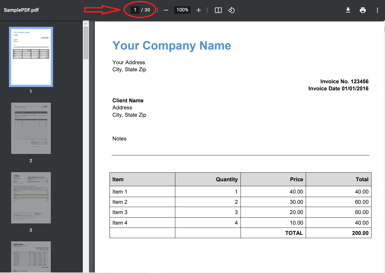 Sample Large PDF with Multiple Pages