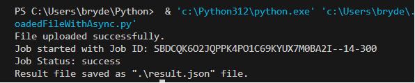 Execute the Program