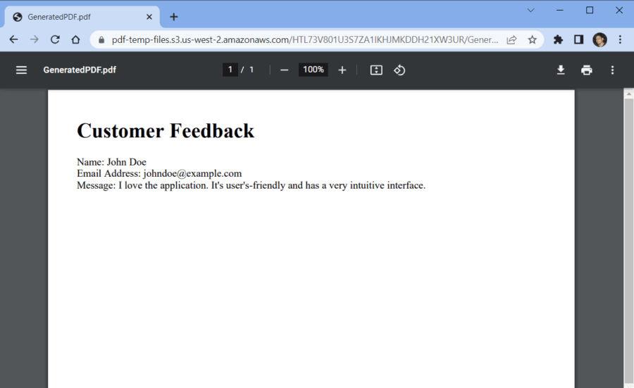Generated PDF Document