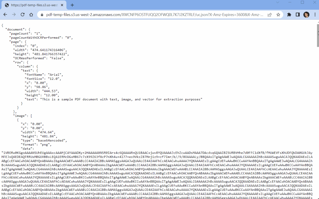 Extracted JSON Output