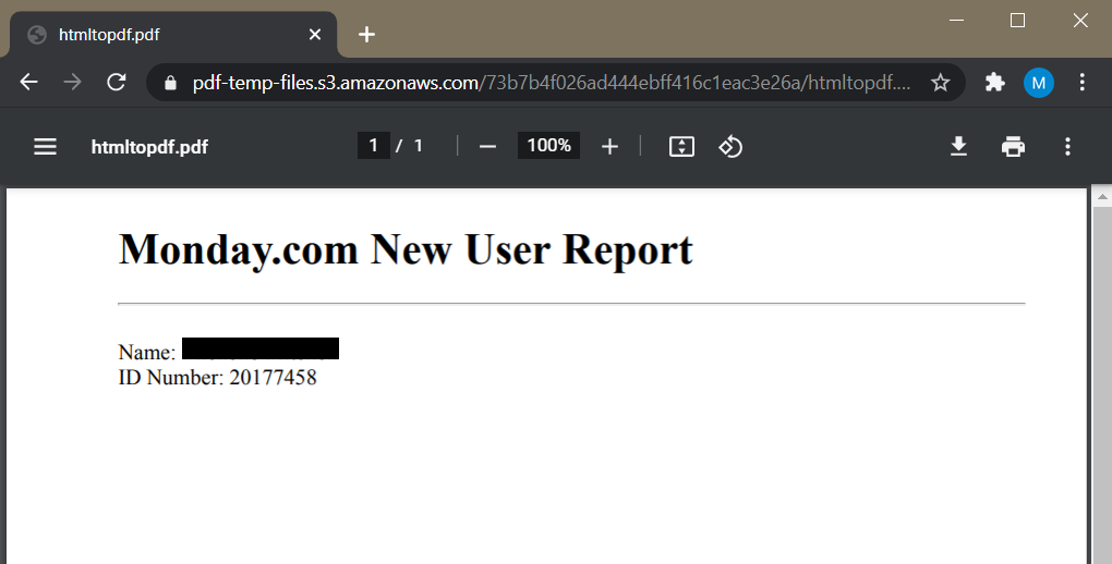 Screenshot of Generated PDF Report with New User Data from Monday.com