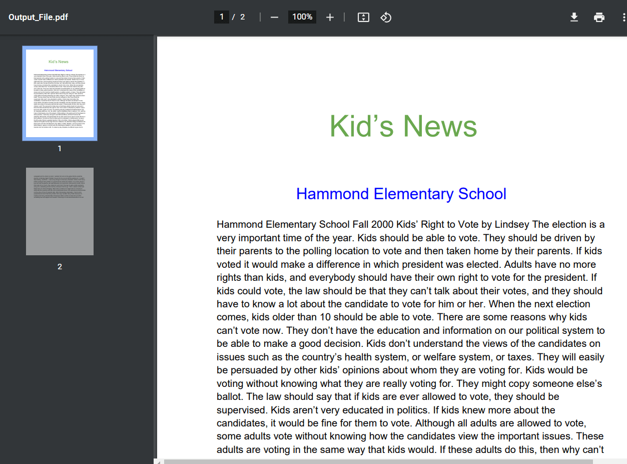 Generated PDF Document