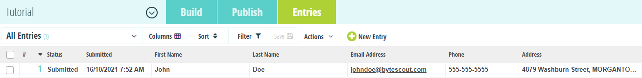 Screenshot of Entries Submitted from Cognito Forms