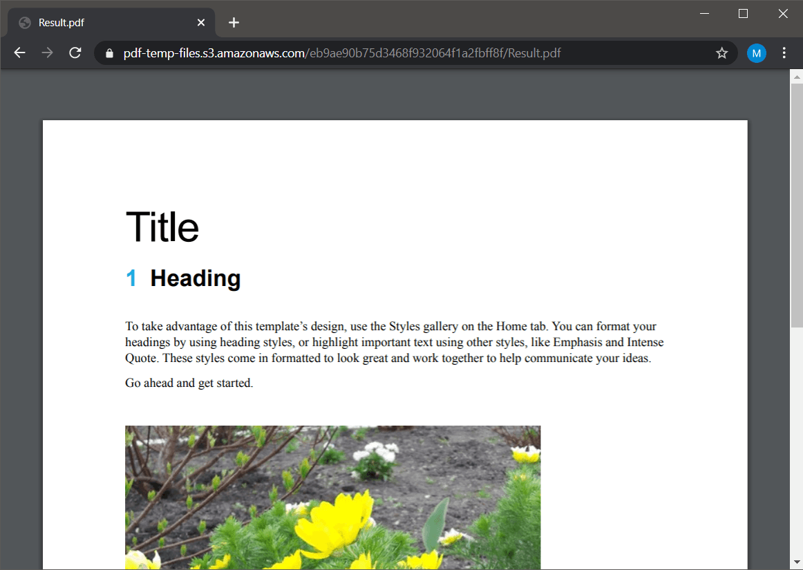 DocX To PDF Output