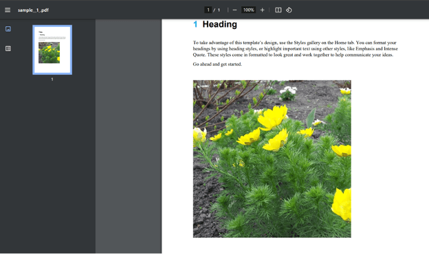 Generated Protected PDF