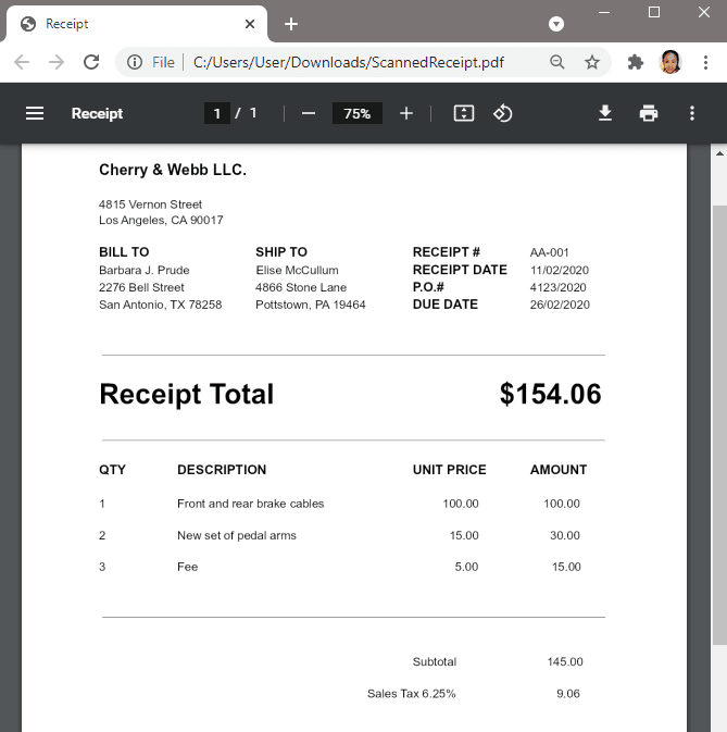 Sample Scanned PDF Receipt